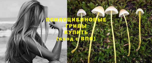 соль ск Баксан