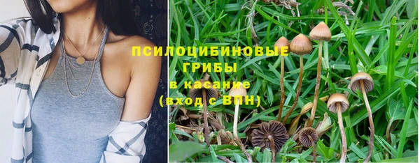 бошки Россошь