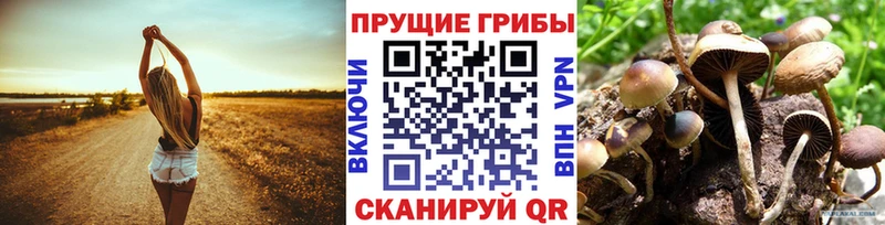 Псилоцибиновые грибы мухоморы  Гдов 
